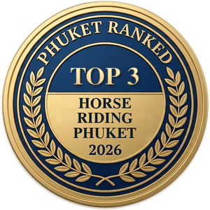 Phuket Ranked Top 3 Horse Riding, Phuket 2026